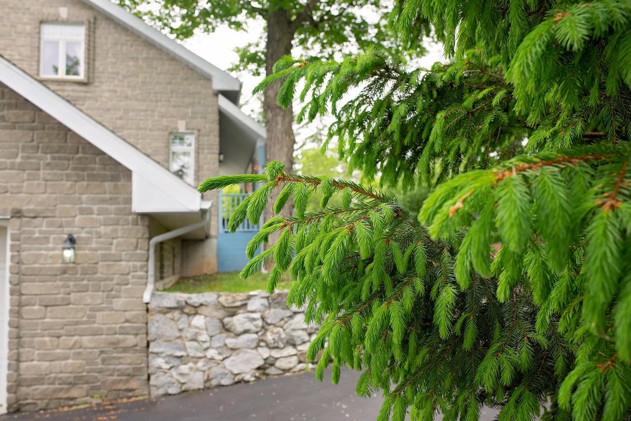 Rock Hill Bed & Breakfast Sharbot Lake Экстерьер фото